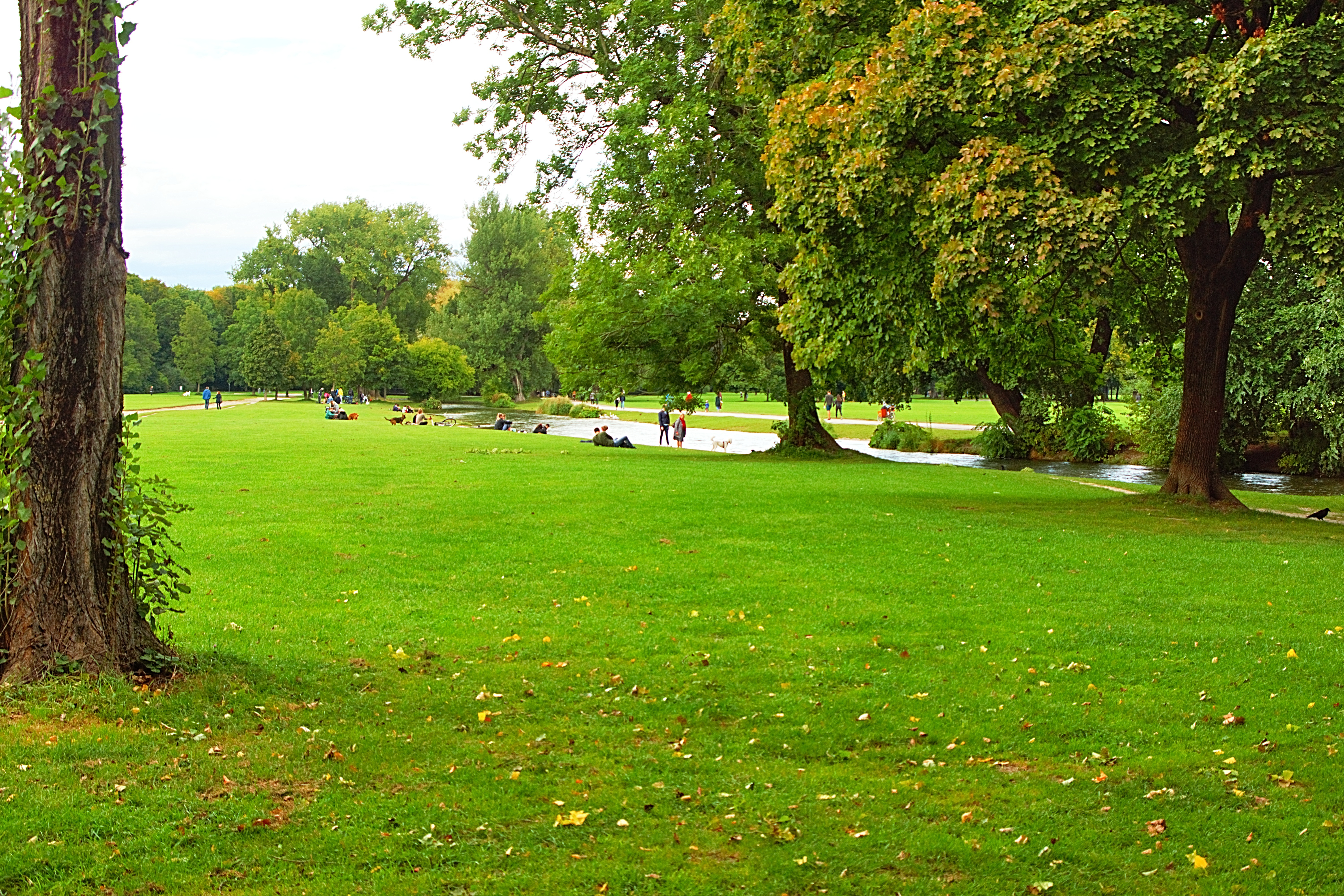 english garden